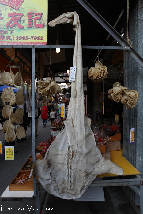 Tai O - Il mercatino del pesce secco