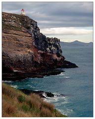 Taiaroa Head