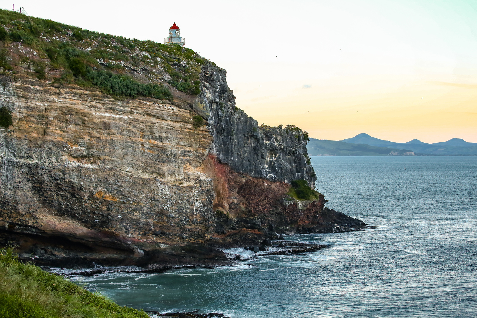 Taiaroa Head, das Haus der Albatrosse