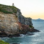 Taiaroa Head, das Haus der Albatrosse