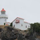 Taiaroa Head Pukekura Otago Peninsula Neuseeland Südinsel