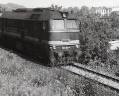 Taigatrommel 120-300 vom Bw Gera in Gera-Thieschitz