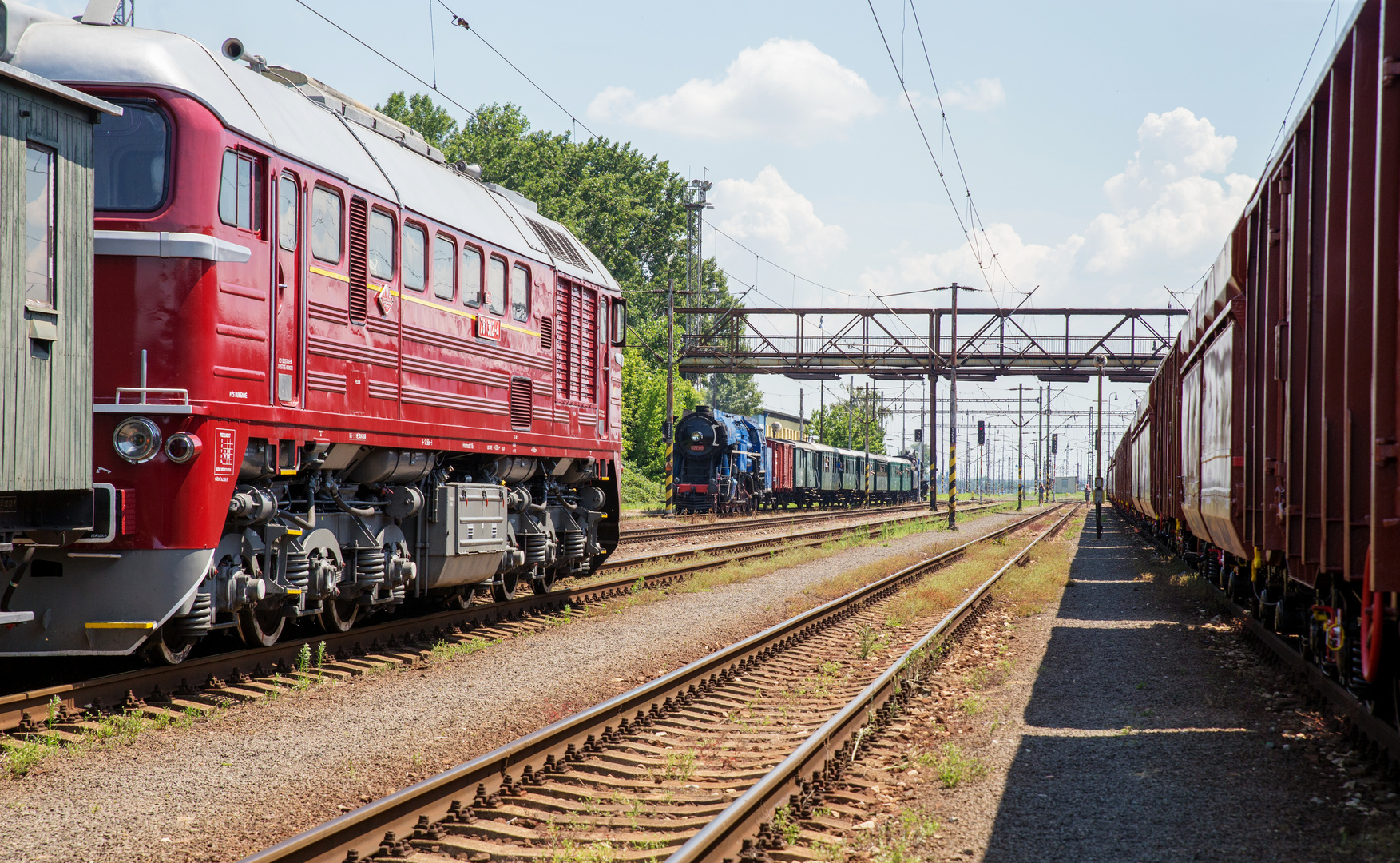 Taigertrommel begegnet Papagei