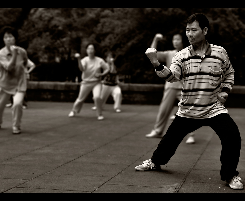 Taijiquan I - Der Meister