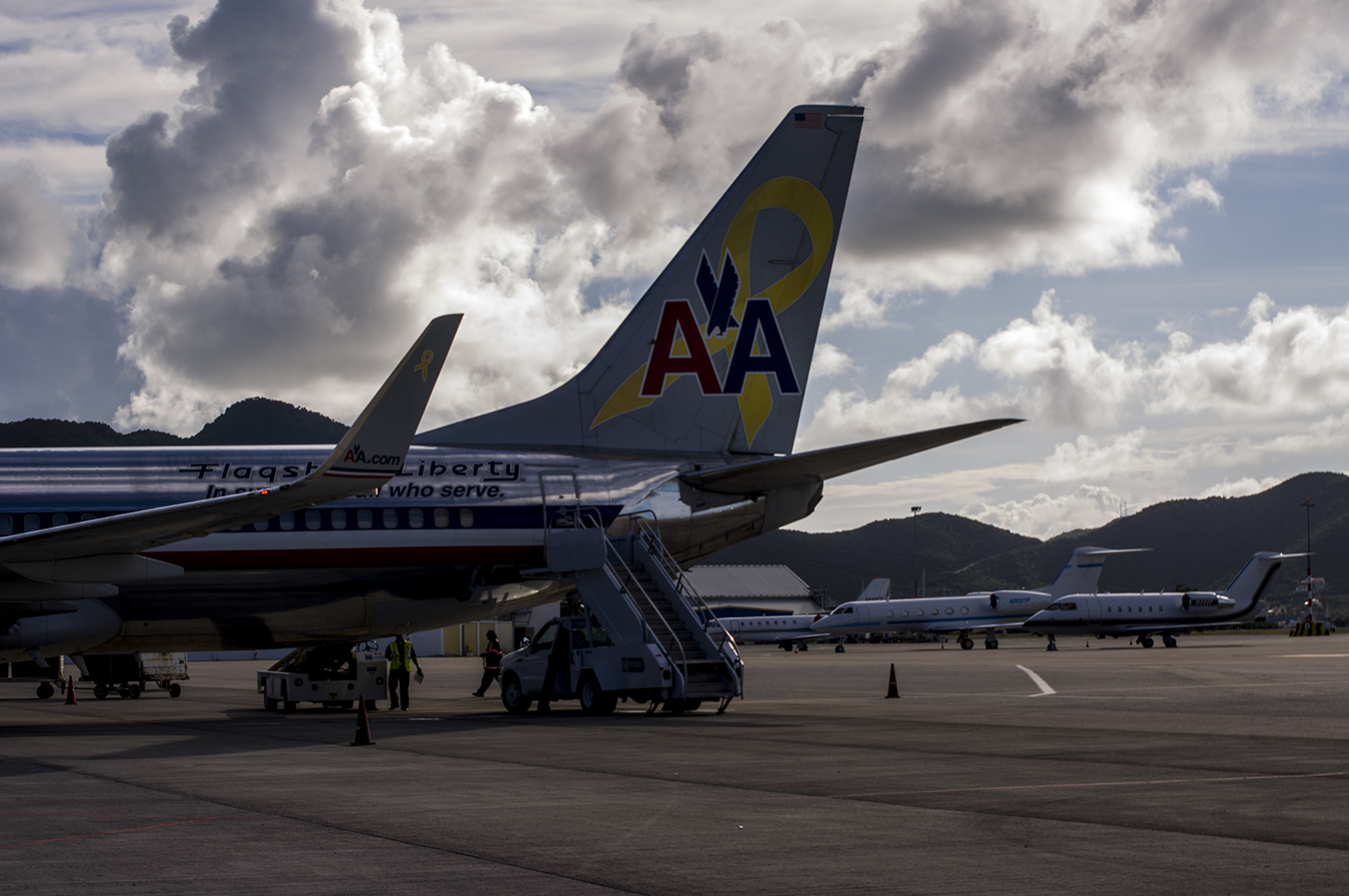 Tailfin in the sun