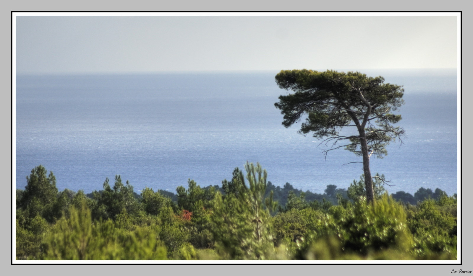 Taillé par le vent