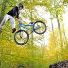 Tailwhip - Tobias