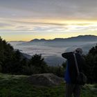 Taiwan - Alishan - Wolkenmeer, Sea of Clouds