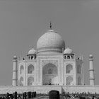 Taj 1