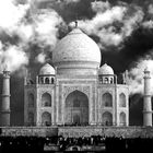 "Taj"