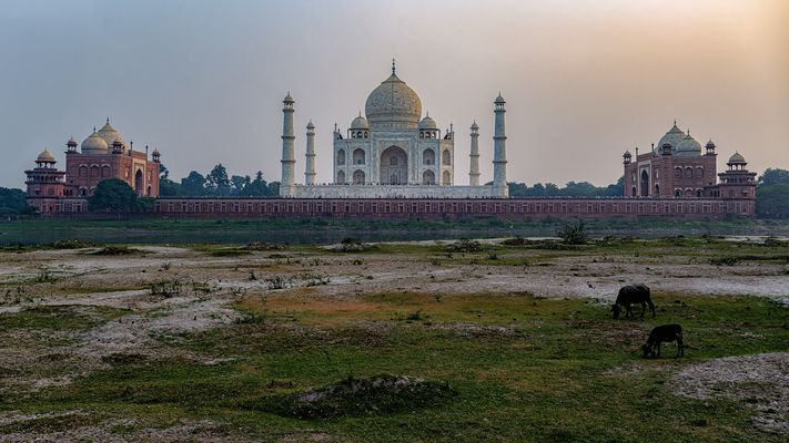 Taj Mahal 03