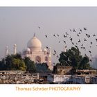 Taj Mahal 1