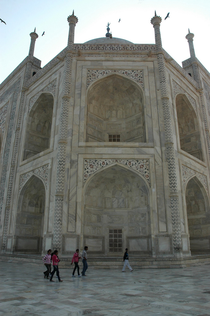 Taj Mahal (5)