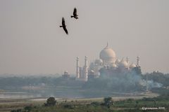 taj mahal.....