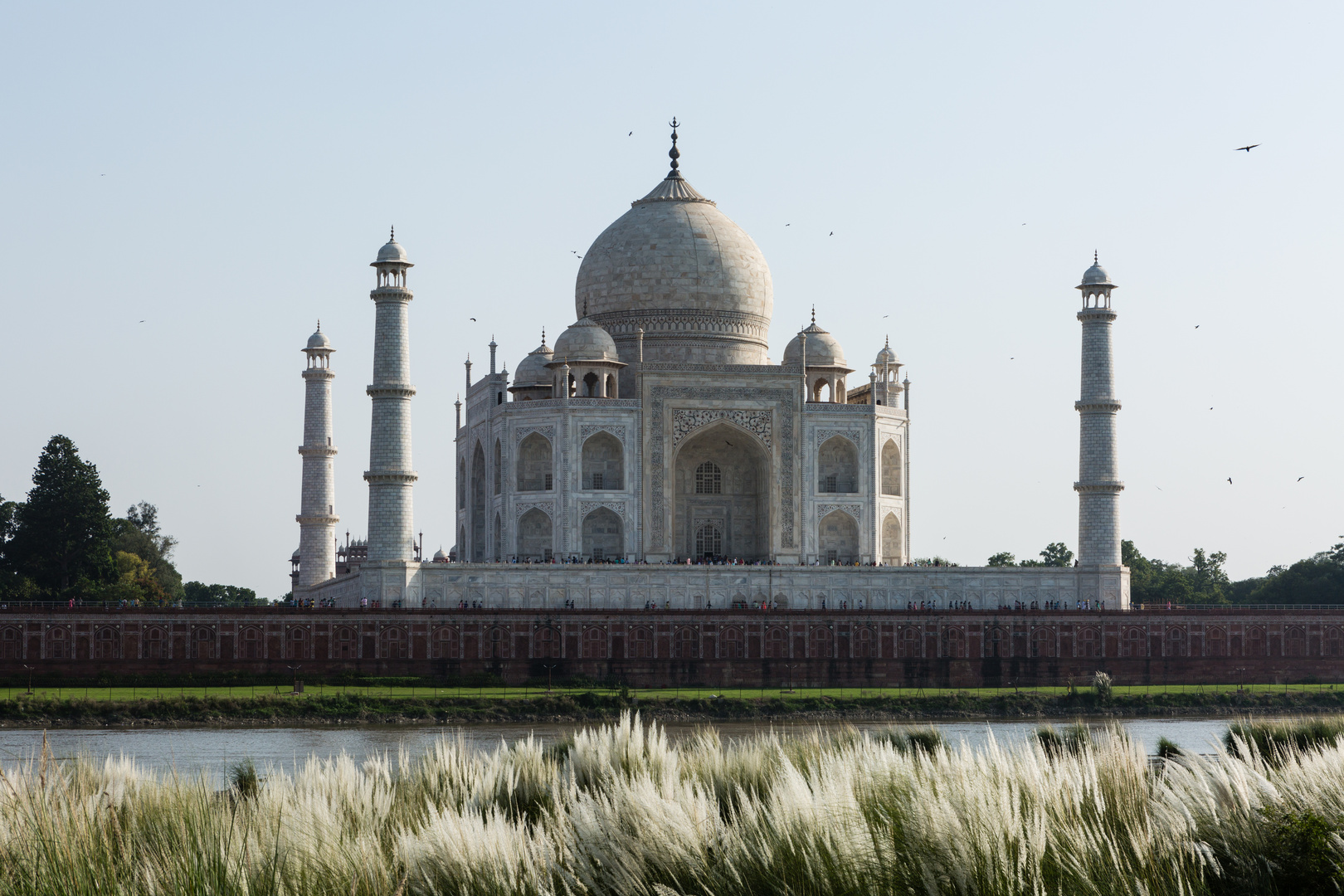 Taj Mahal im Abendlicht (2)