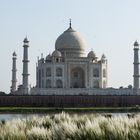 Taj Mahal im Abendlicht (2)