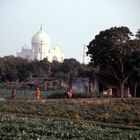 Taj Mahal - noch mal falsch belichtet