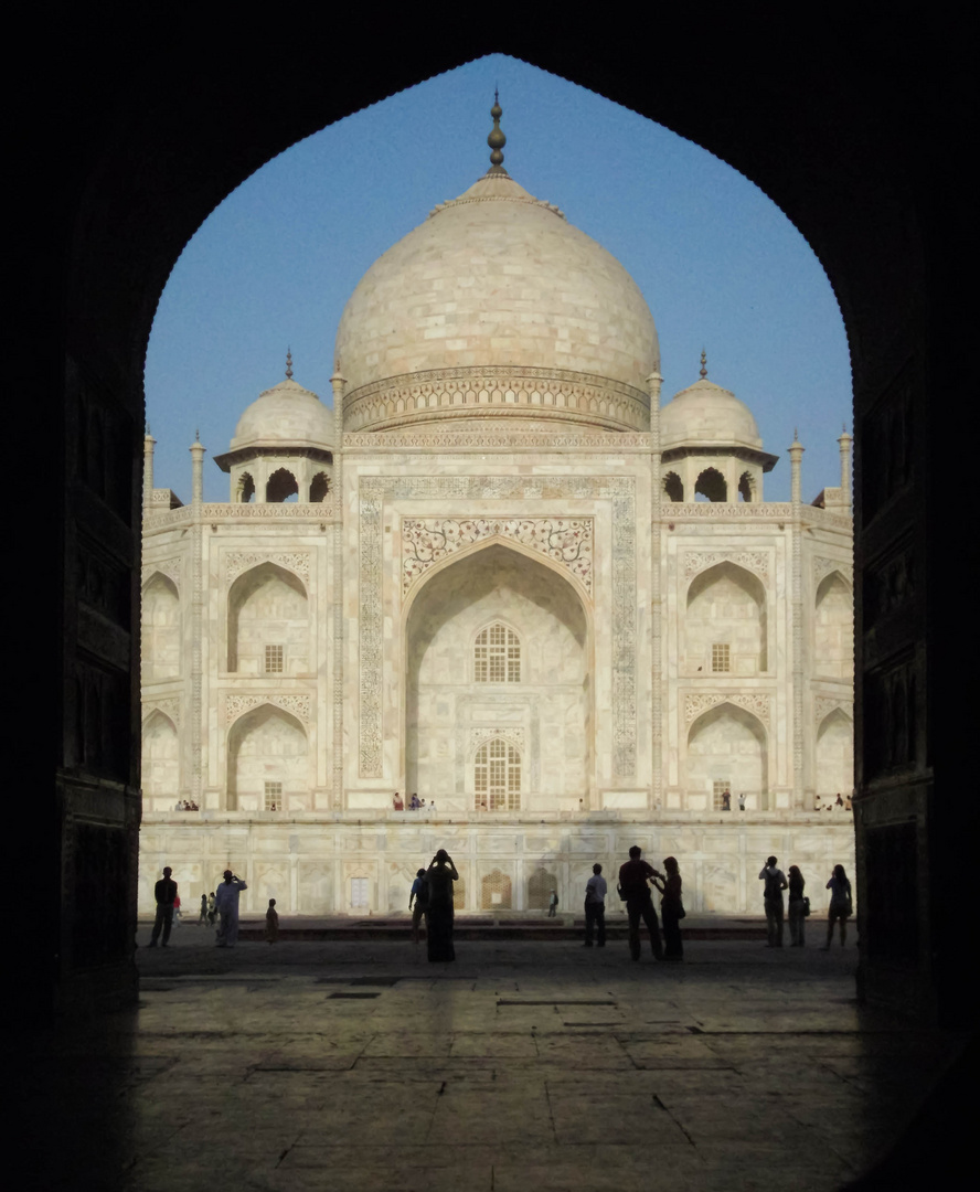 taj silhouettes