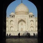 taj silhouettes