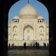 taj silhouettes