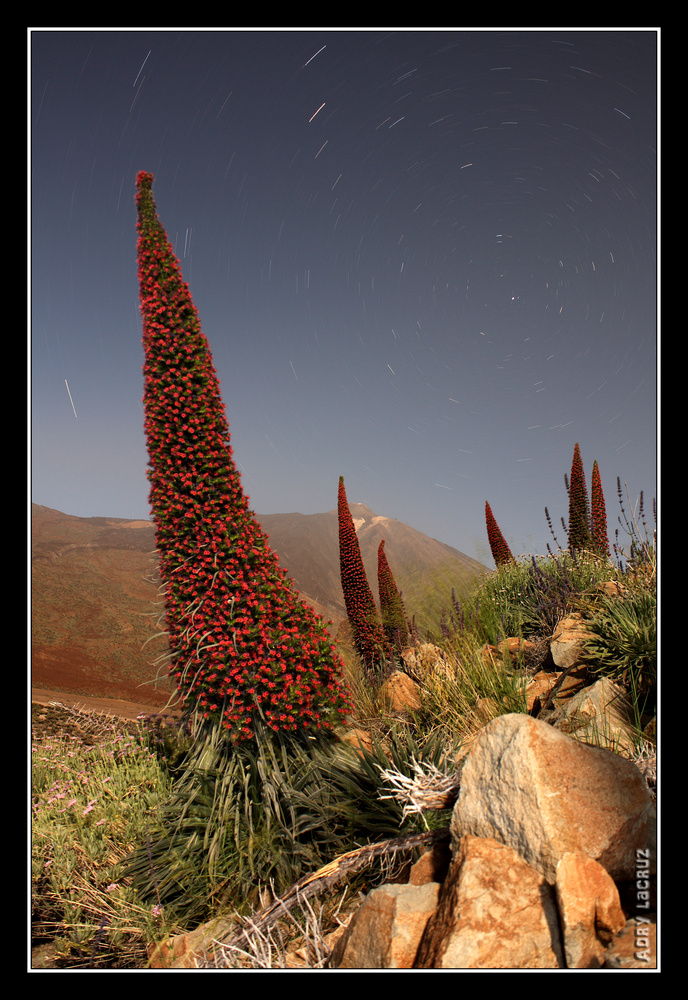 Tajinastes, Teide y estrellas