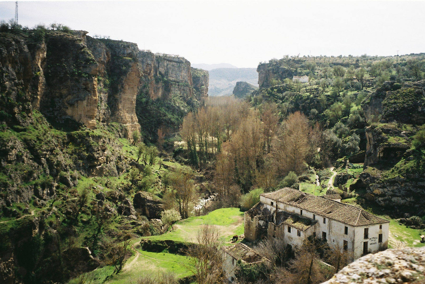 Tajos de Alhama de Granada