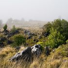 Takaka Hill - Neuseeland (Südinsel)