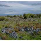 Takaka Hill Saddle