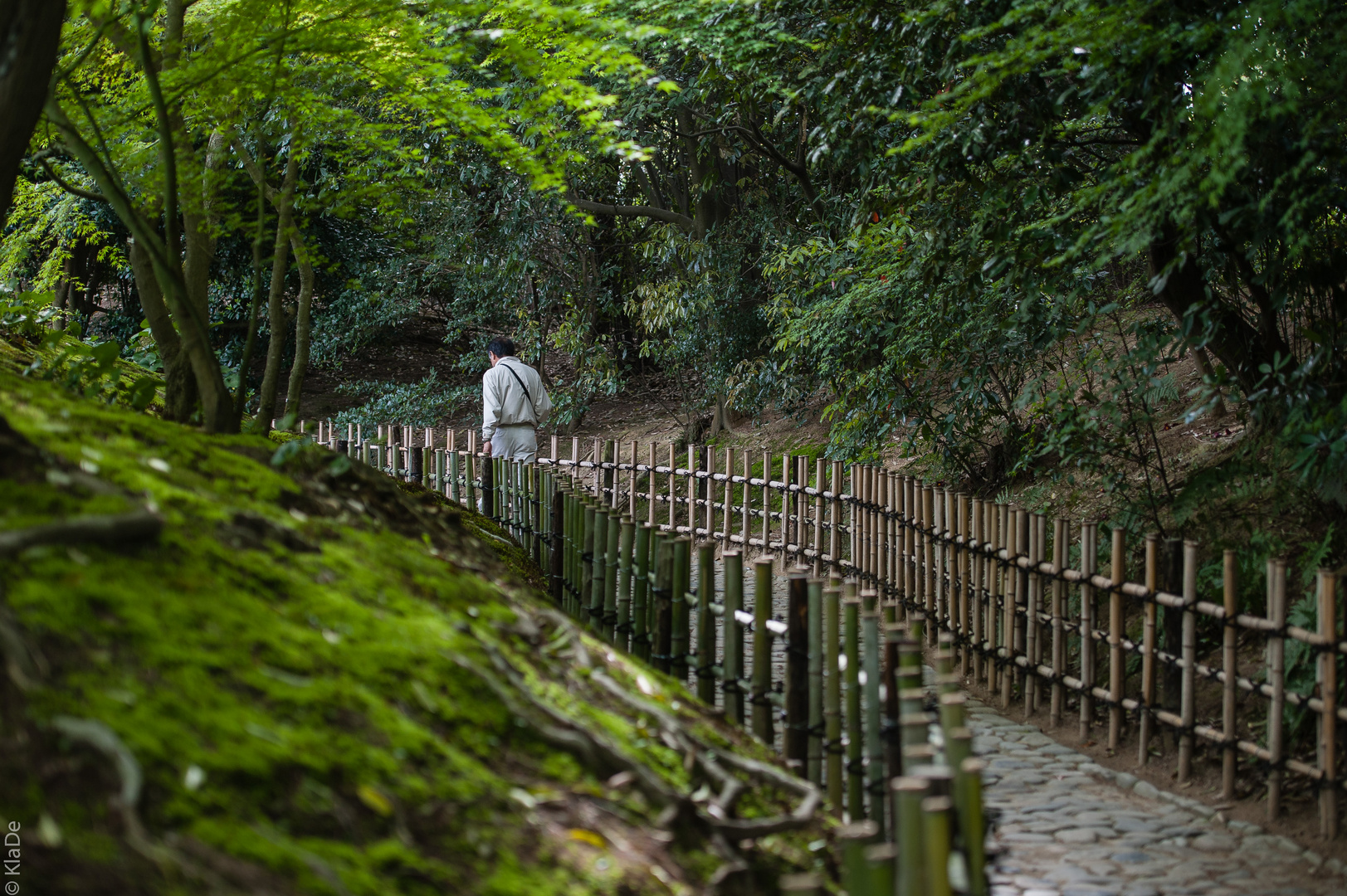 Takamatsu - Ritsurin-Koen - Fugan