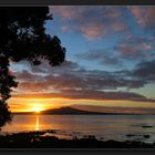 Takapuna Beach - Sonnenaufgang über Rangitoto Island