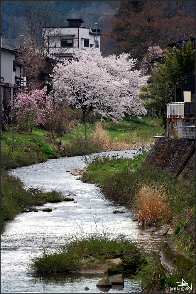 Takayama I