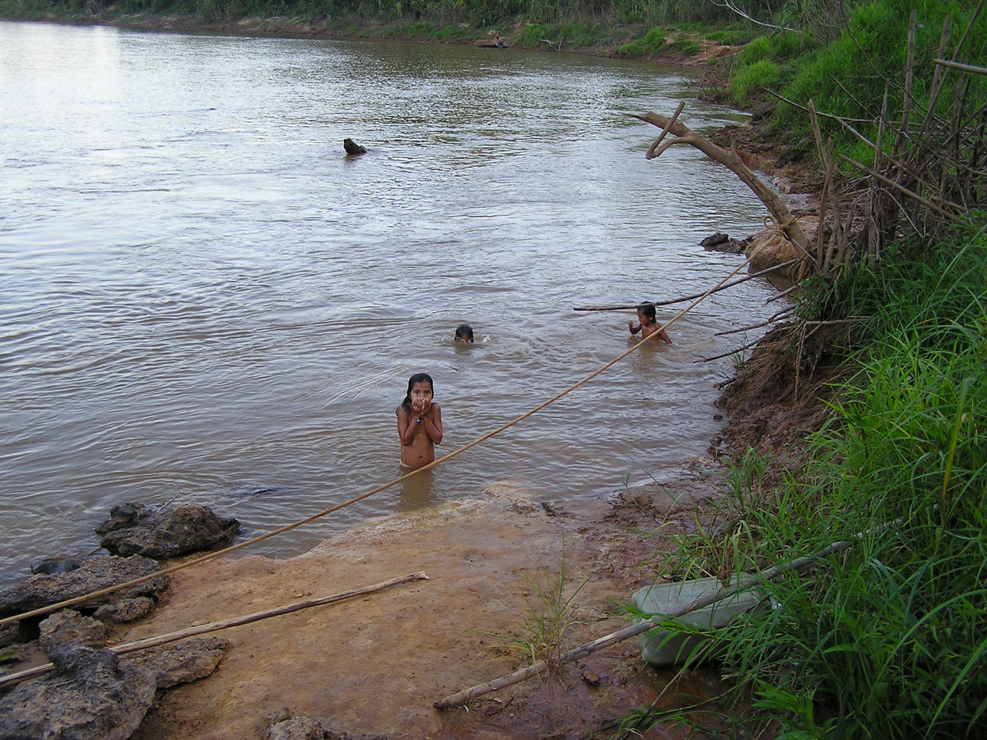 - take a bath - or feed the piranjas -