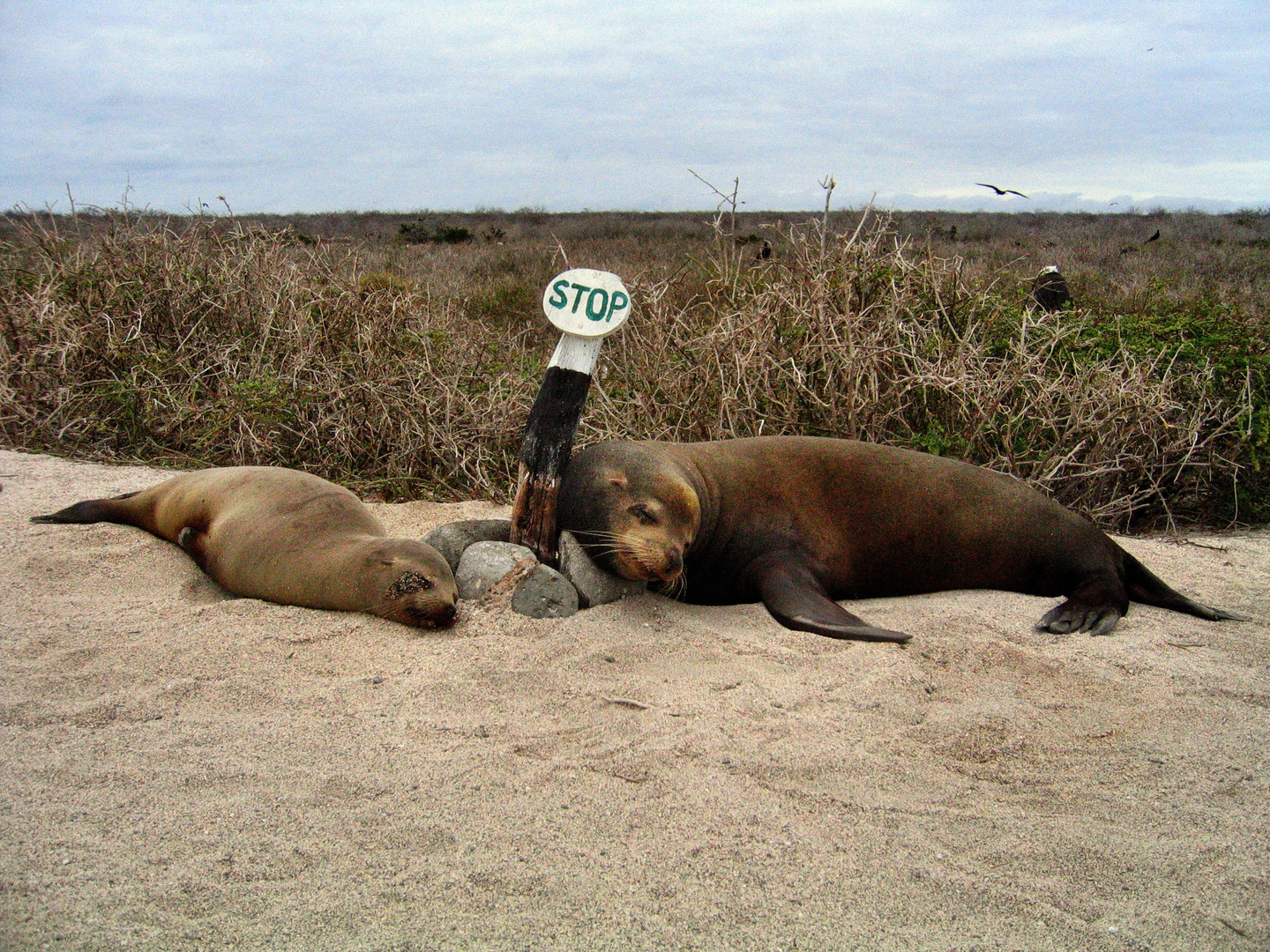 Take a break - take a ... nap