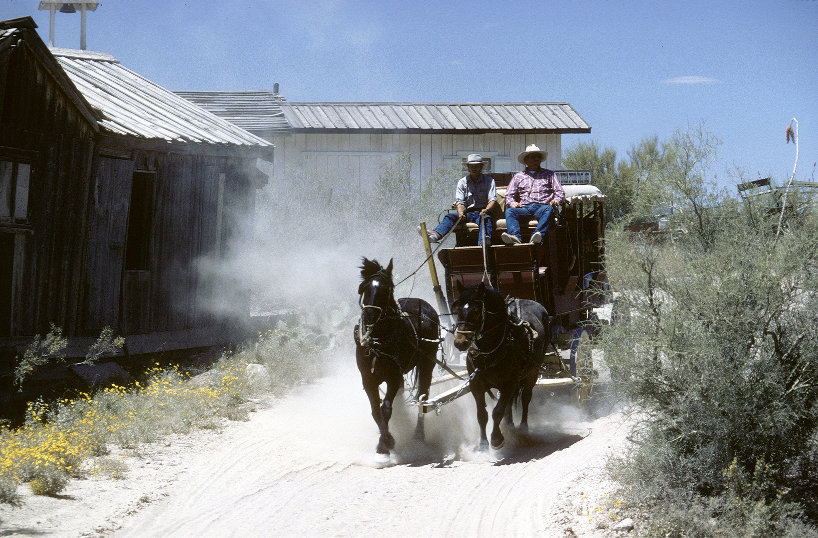 Take a Ride in a Carriage..