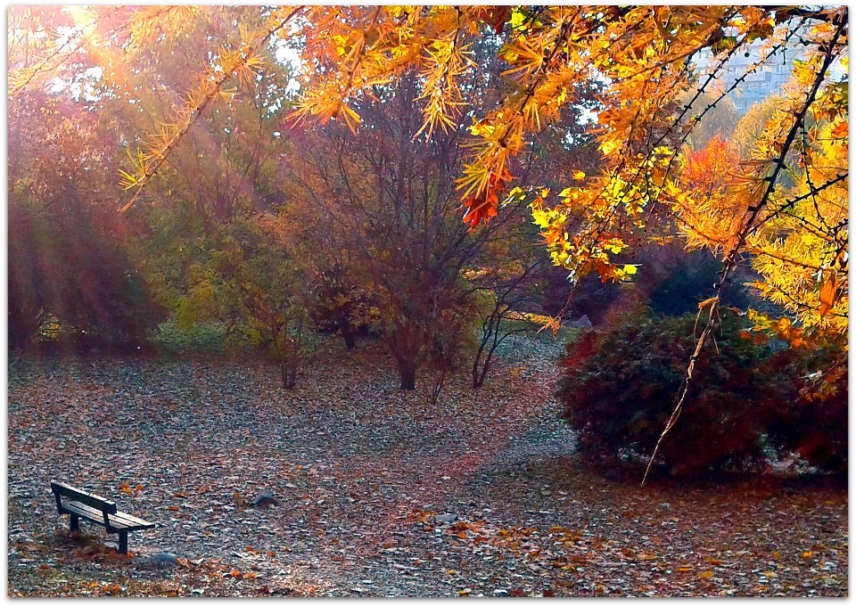 Take a seat and delight in the beauty that surrounds you.