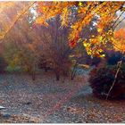 Take a seat and delight in the beauty that surrounds you.