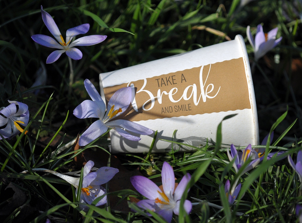 „Take an Break and Smile“ im Krokusbeet