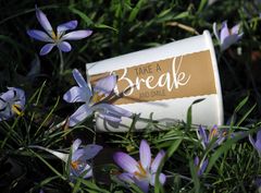 „Take an Break and Smile“ im Krokusbeet