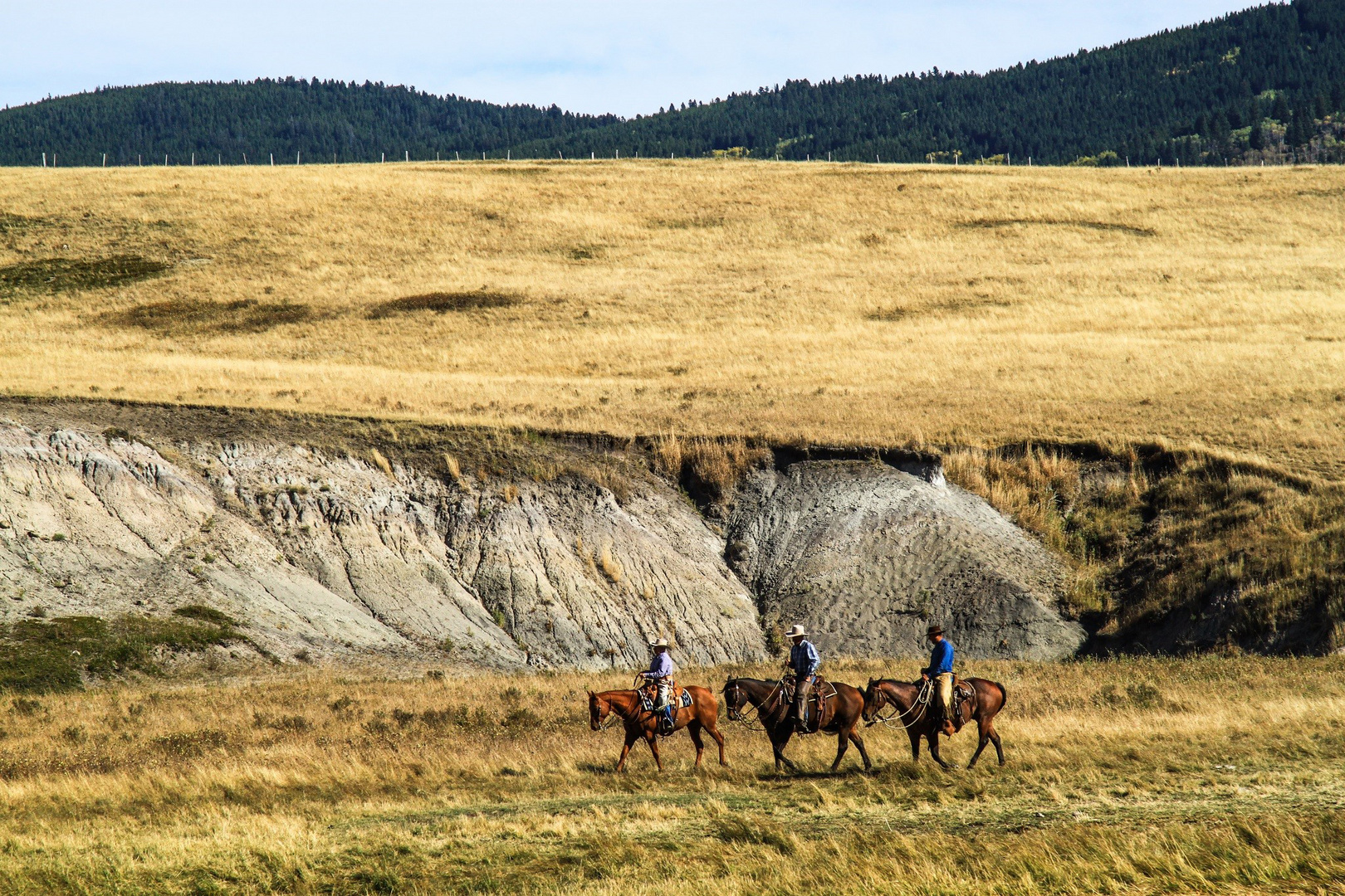 Take Me Home, Country Roads - John Denver