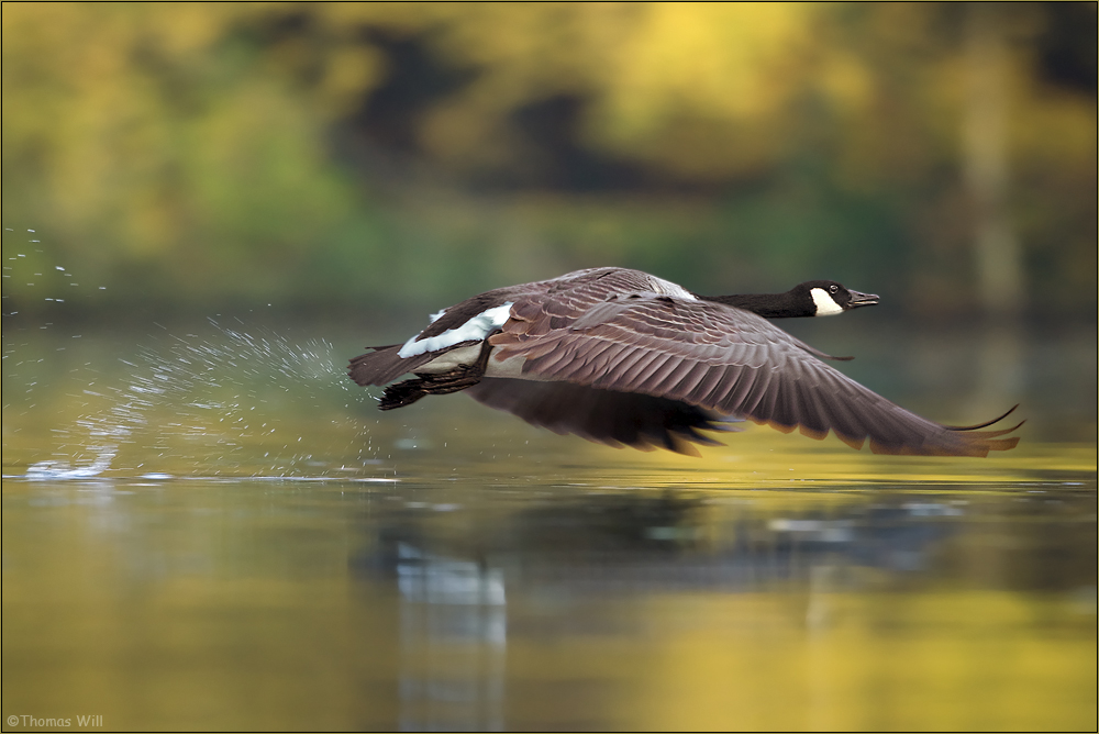 [  Take off  ]