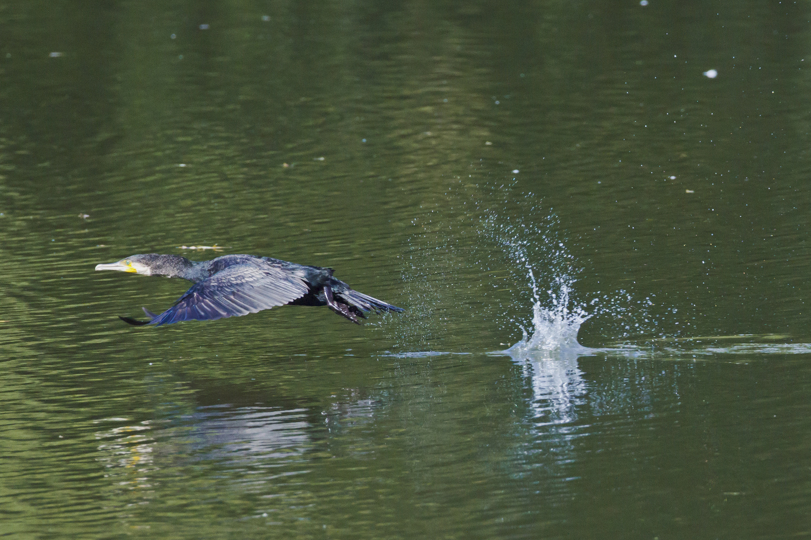 Take-off