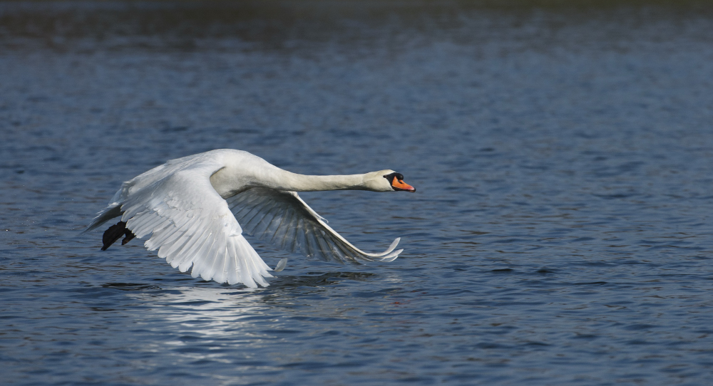 Take-off