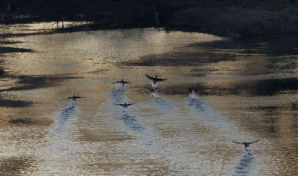 Take-off.