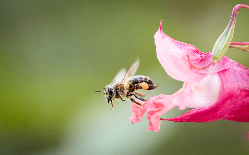 Take-off