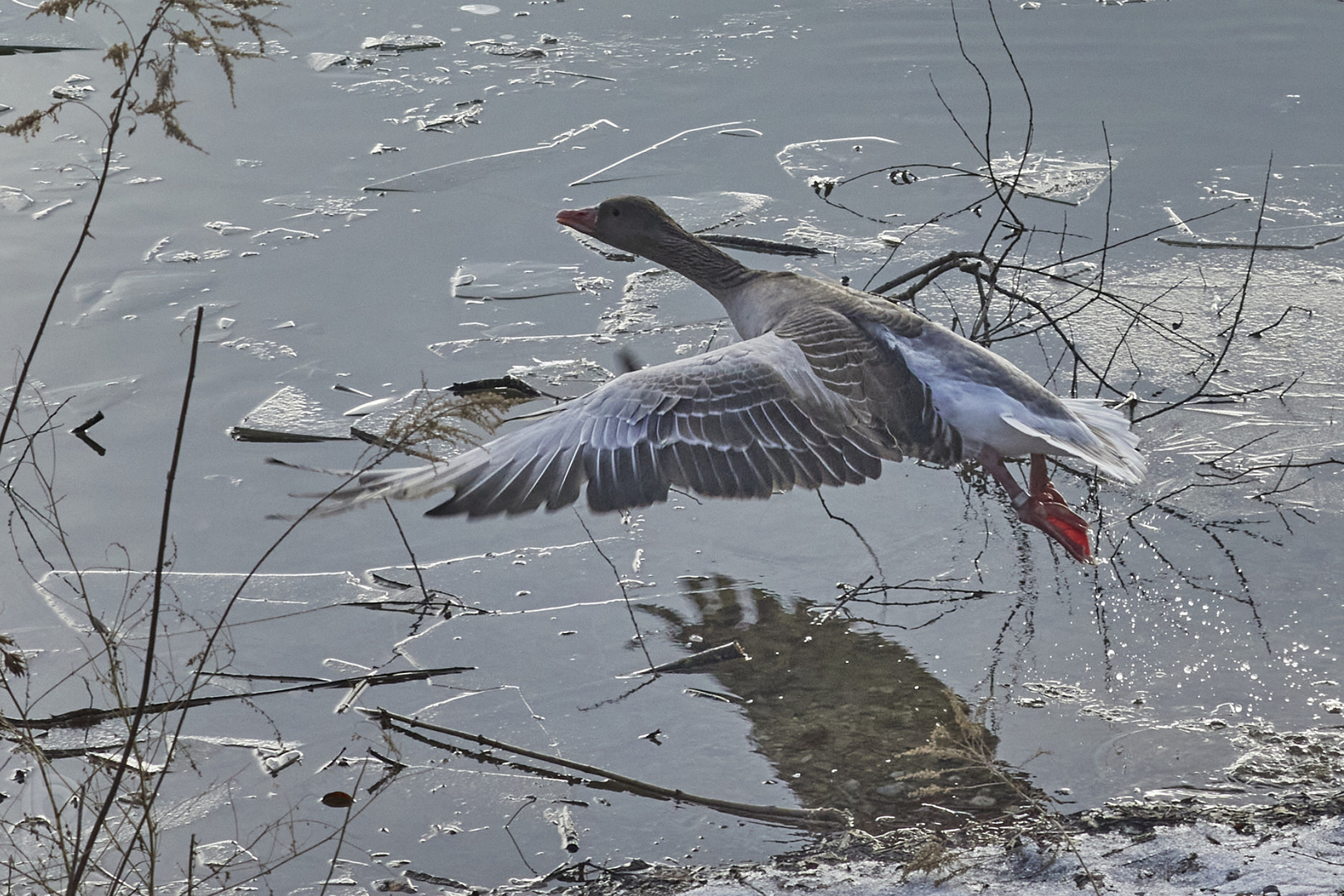 take-off