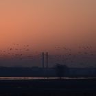 "Take off" an der Reeser Rheinbrücke