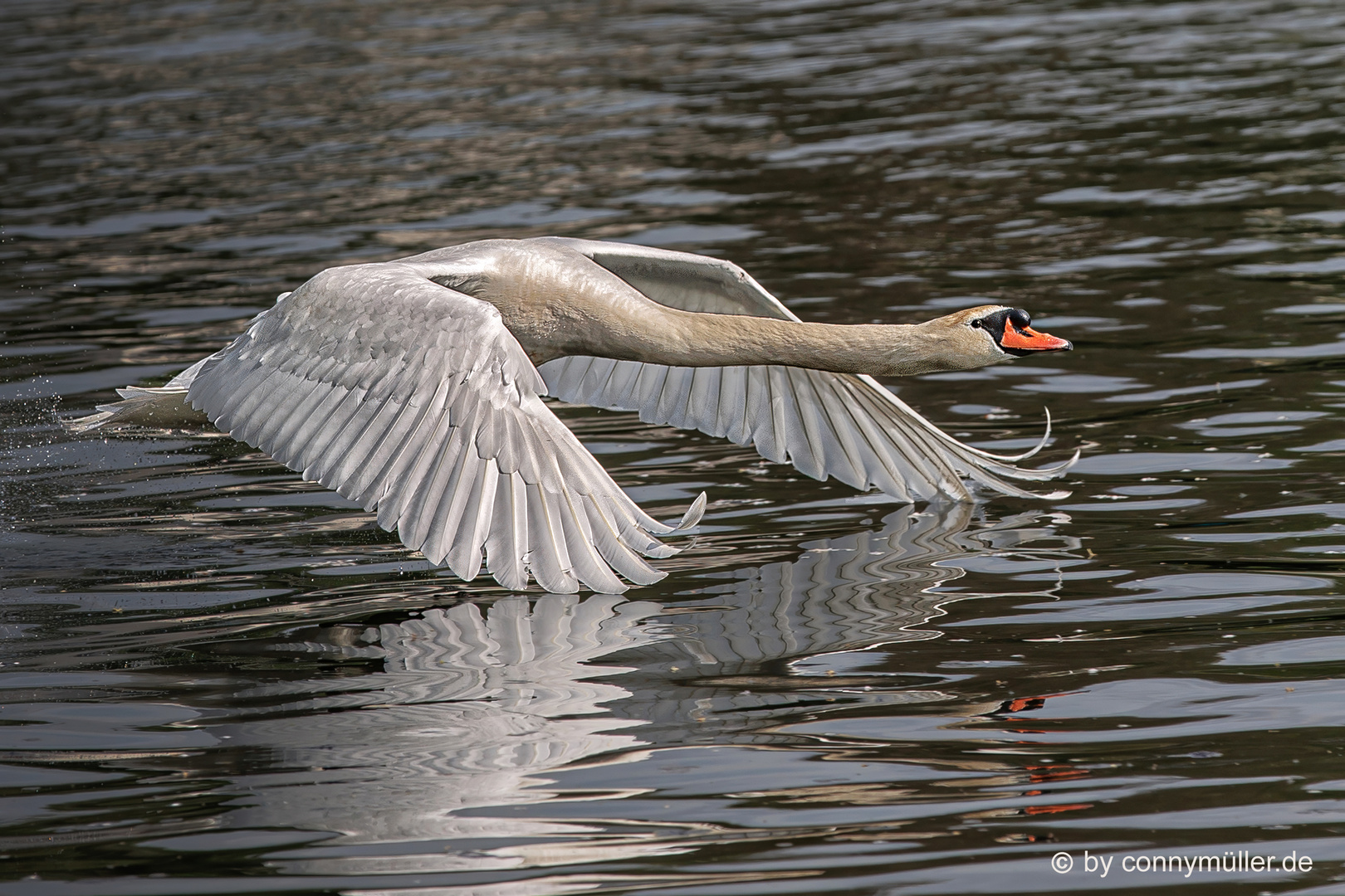 Take-Off