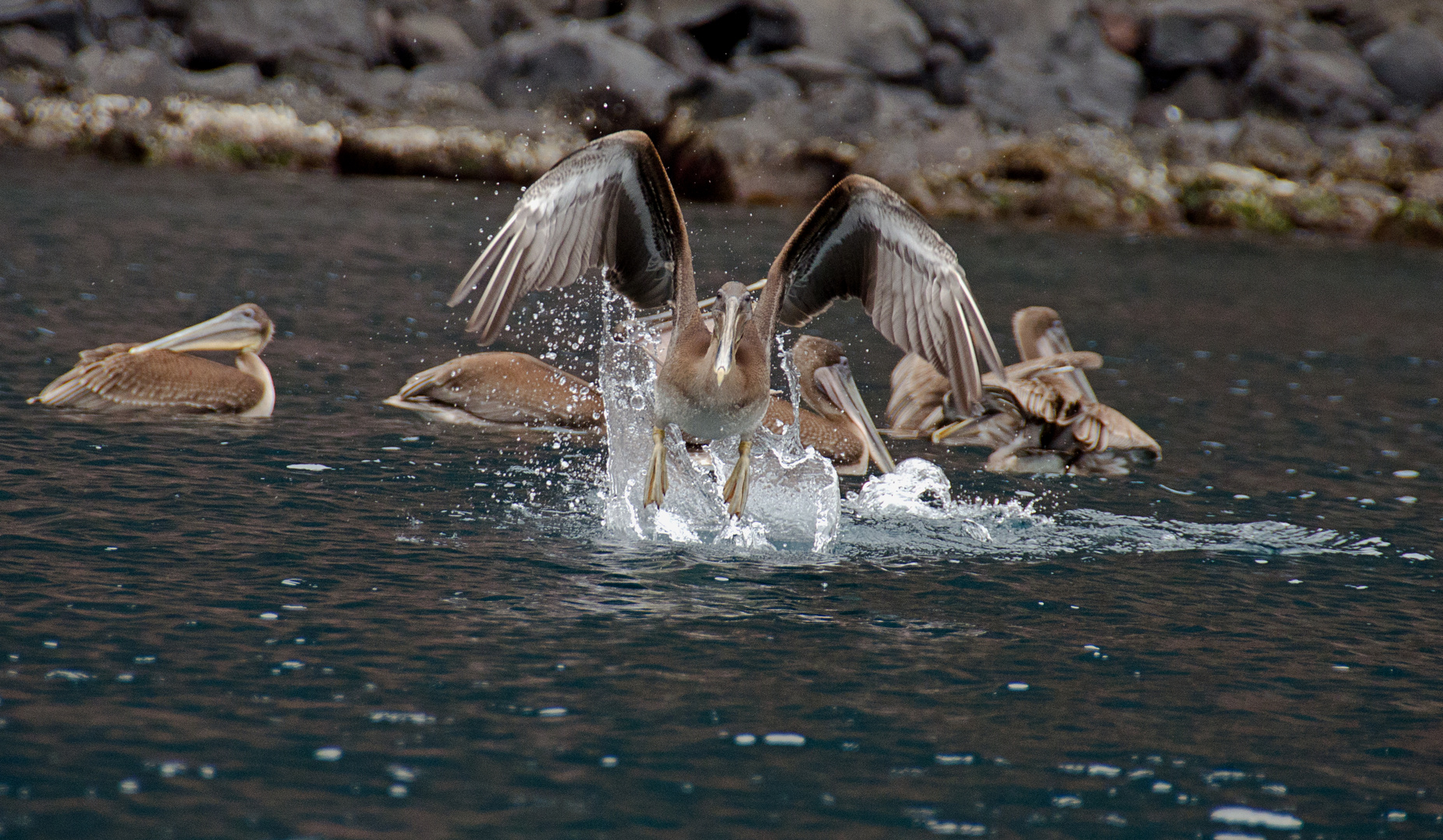 Take-Off