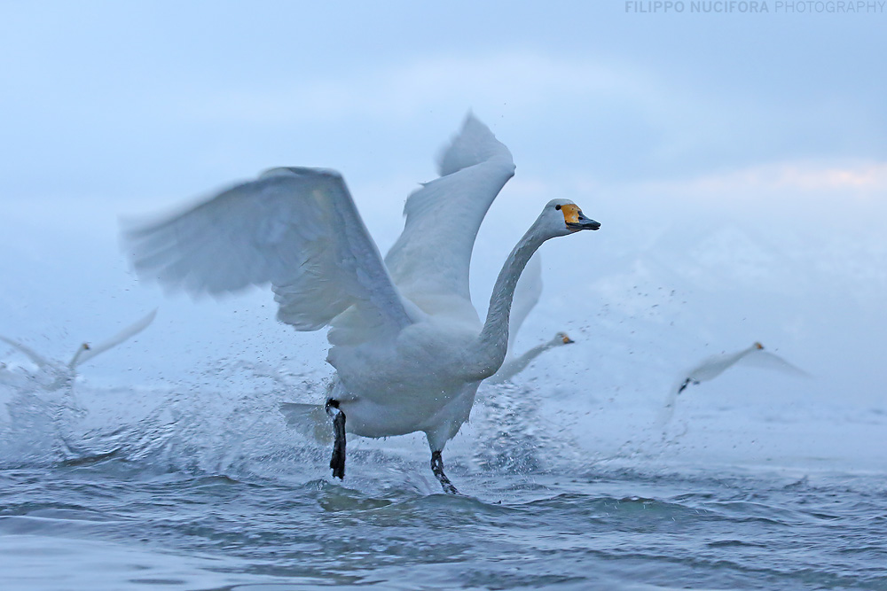 ~ Take-off II ~