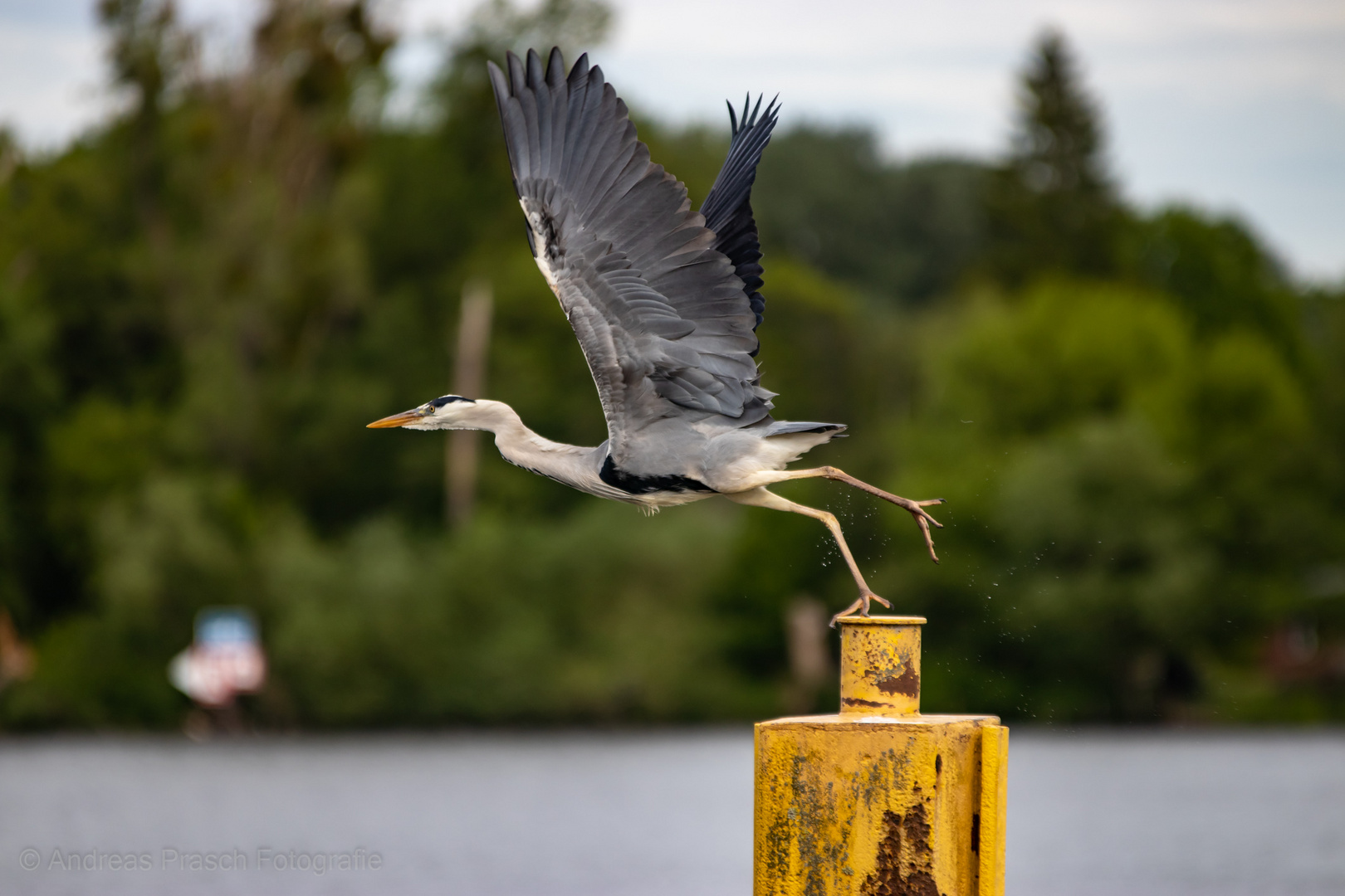 Take off im Yachthafen Potsdam